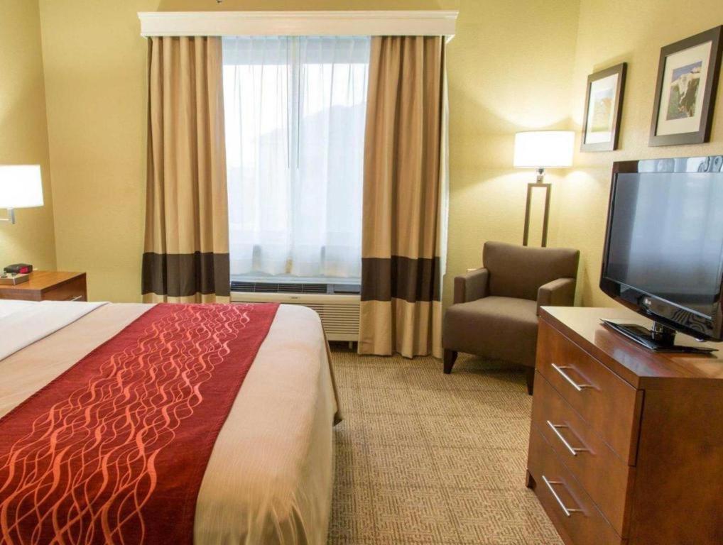 Comfort Inn Dfw Airport North Grapevine Exterior photo