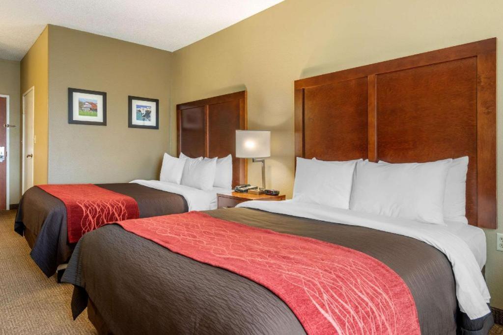 Comfort Inn Dfw Airport North Grapevine Exterior photo
