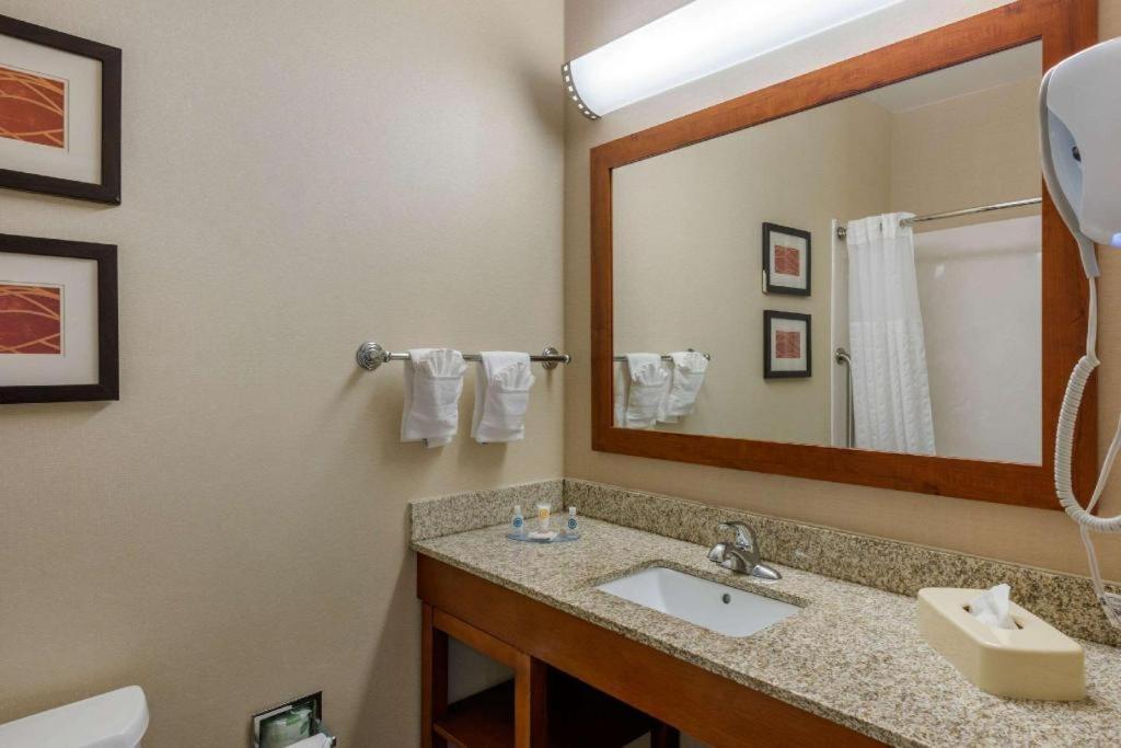 Comfort Inn Dfw Airport North Grapevine Exterior photo