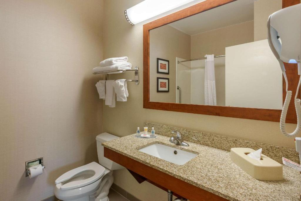 Comfort Inn Dfw Airport North Grapevine Exterior photo