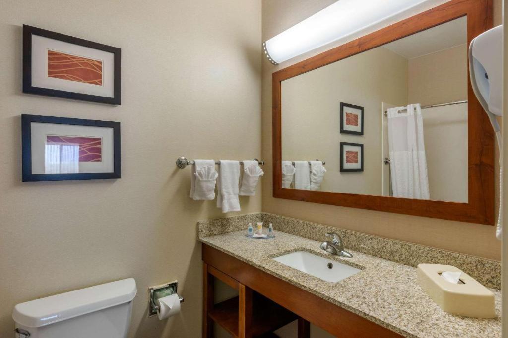 Comfort Inn Dfw Airport North Grapevine Exterior photo